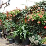Appartement Phoenix Aus Der Asche Rhodt unter Rietburg