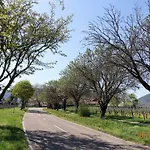 Phoenix Aus Der Asche Appartement Rhodt unter Rietburg