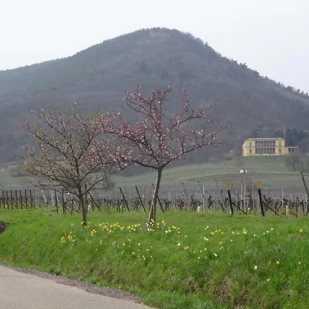 شقة Phoenix Aus Der Asche *