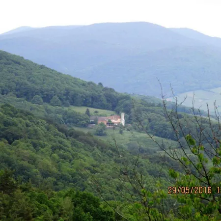 شقة Phoenix Aus Der Asche *