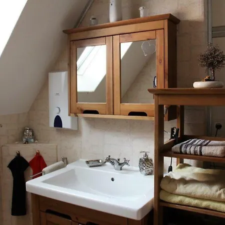 Phoenix Aus Der Asche