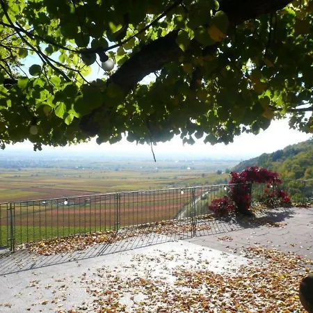 Phoenix Aus Der Asche