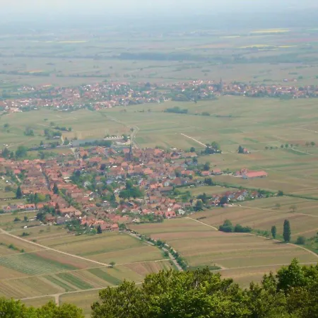 Phoenix Aus Der Asche 아파트 *