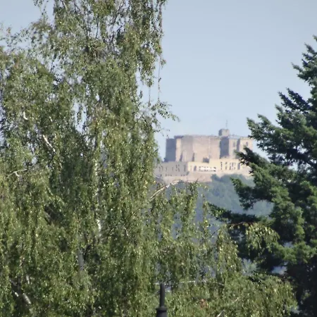 Phoenix Aus Der Asche