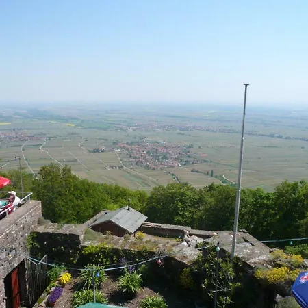 Phoenix Aus Der Asche