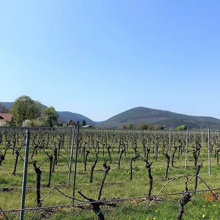 Phoenix Aus Der Asche 아파트 *