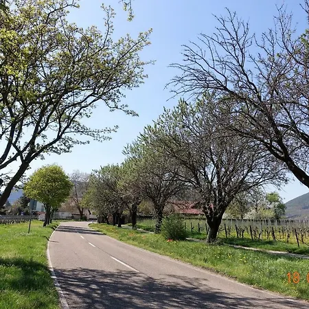 Phoenix Aus Der Asche 아파트 로트운터리트부르크