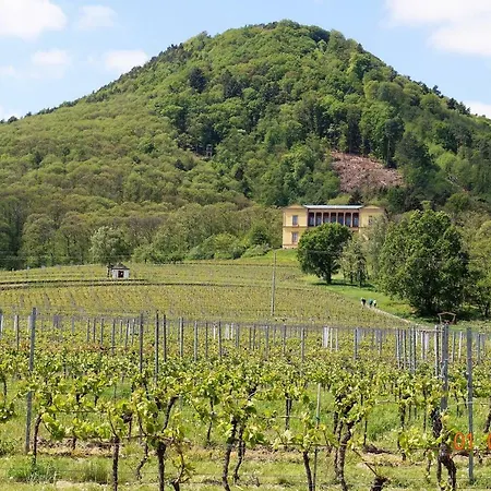 아파트 Phoenix Aus Der Asche *