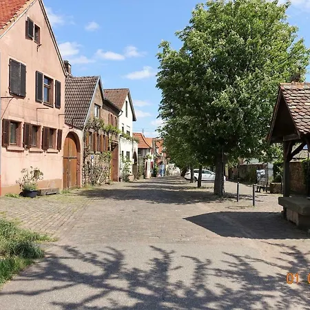 Phoenix Aus Der Asche *