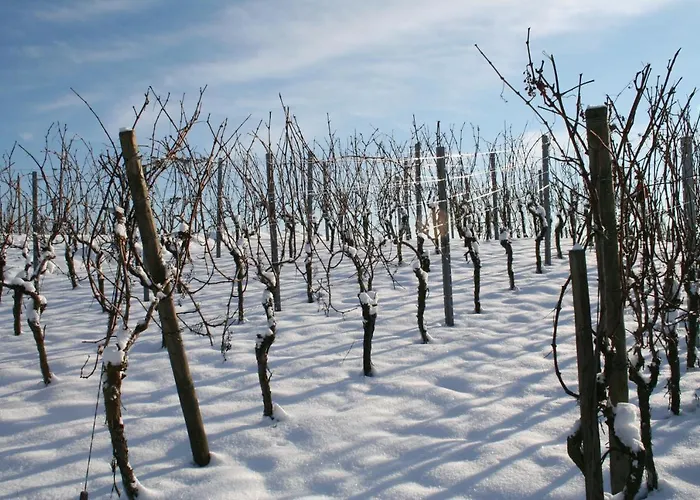 Phoenix Aus Der Asche アパート *