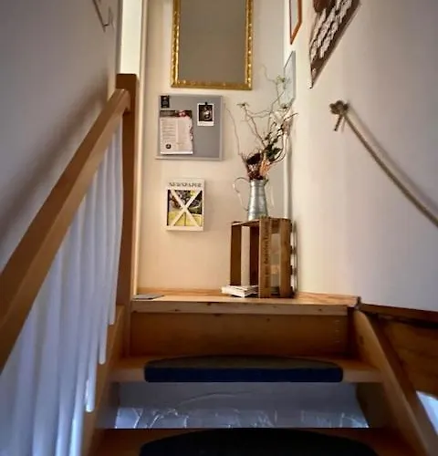 Phoenix Aus Der Asche *