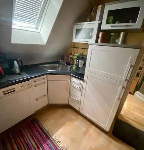 Phoenix Aus Der Asche *