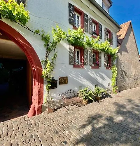 Phönix Aus Der Asche Apartment *