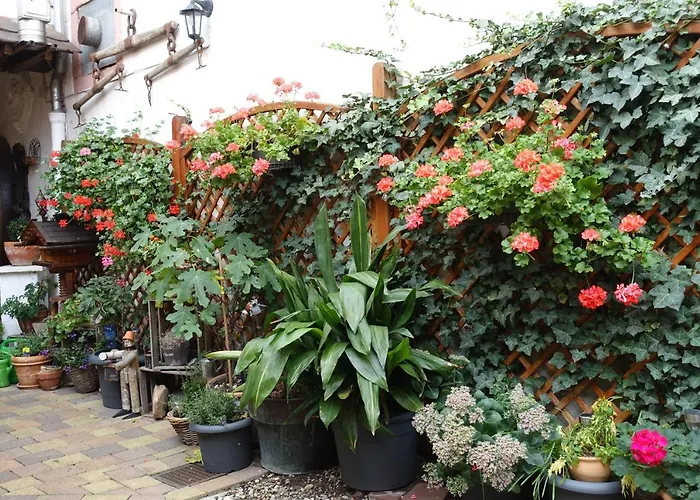 Appartamento Phoenix Aus Der Asche Rhodt unter Rietburg