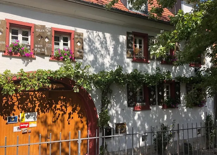 Appartamento Phoenix Aus Der Asche Rhodt unter Rietburg