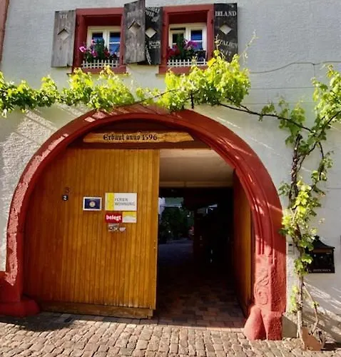 Phoenix Aus Der Asche Rhodt unter Rietburg