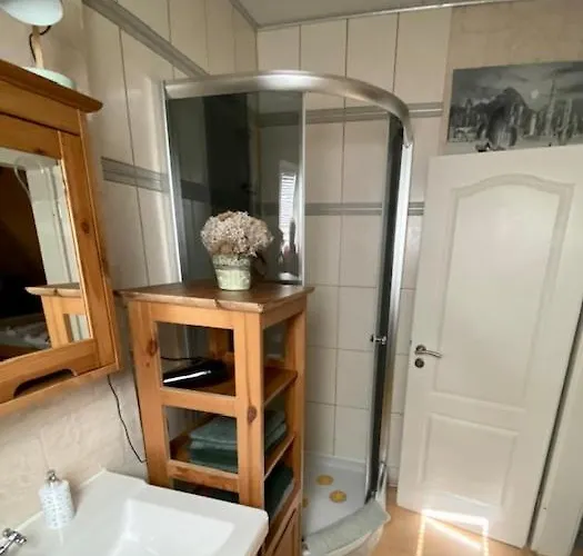 Phoenix Aus Der Asche *