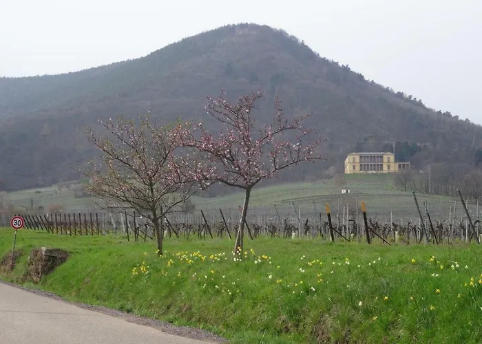 アパート Phoenix Aus Der Asche *