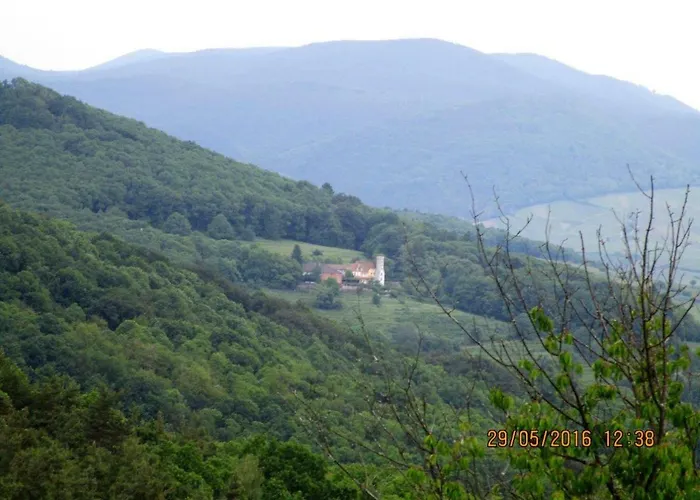 Appartamento Phoenix Aus Der Asche *