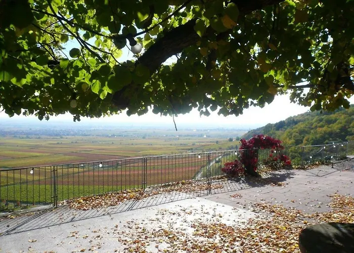 Phoenix Aus Der Asche