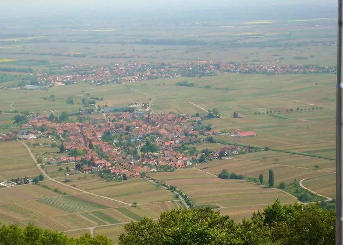 Phoenix Aus Der Asche Appartamento *