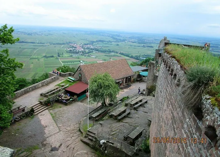 Phoenix Aus Der Asche