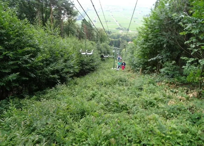 Phoenix Aus Der Asche Appartamento