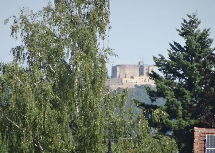 Phoenix Aus Der Asche