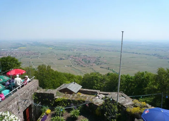 Phoenix Aus Der Asche