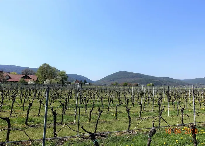 Phoenix Aus Der Asche Appartamento *