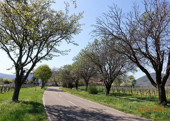 Phoenix Aus Der Asche Appartamento Rhodt unter Rietburg