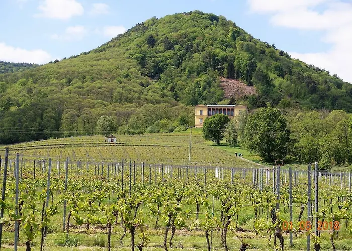 アパート Phoenix Aus Der Asche *