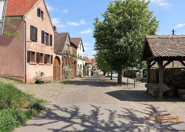 Phoenix Aus Der Asche *